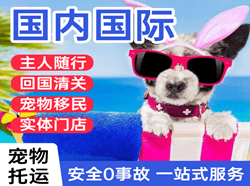 普洱思茅航空物流国际宠物托运 【国